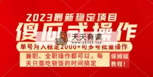 简单化没脑子新项目 运单号月入平稳2000  可以多号批量处理 多多视频打金全新玩法-天天有课网
