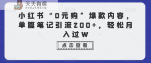 小红书“0元购”爆款内容，单篇笔记引流200+，轻松月入过W-天天有课网