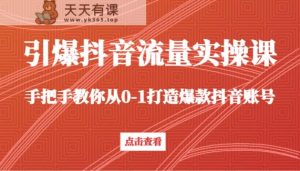 点爆短视频流量实操课，教你如何从0-1推出爆款抖音帐号-天天有课网