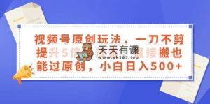 微信视频号原创设计游戏玩法，一刀不剪提高5倍播放率，立即搬也能通过原创设计，新手日入500-天天有课网