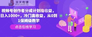视频号创作者分成计划撸收益,日入1000+,冷门高收益,从0到1保姆级教学-天天有课网