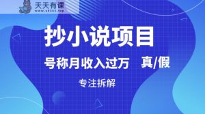 抄小说集新项目，称为月入了万，究竟是否属实，要不要做，详尽拆卸-天天有课网