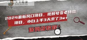 2024最新风口项目，视频号变老特效项目，电脑小白上手3天卖了3w+，保姆级教程【揭秘】-天天有课网