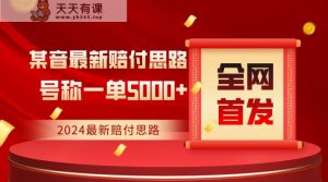 独家首发，2024全新抖音赔偿构思，称为一单盈利5000-天天有课网