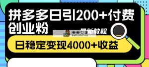 拼多多平台日引200 付钱自主创业粉，日平稳转现4000 盈利全新实例教程-天天有课网