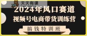 2024年出风口跑道微信视频号电商直播带货夏令营弄钱训练营,带着大家迅速进入自媒体平台电商直播带货-天天有课网