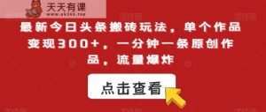 最新今日头条搬砖玩法,单个作品变现300+,一分钟一条原创作品,流量爆炸【揭秘】-天天有课网