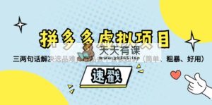 拼多多平台虚拟资源项目：三几句话处理选款难，商品有没有被提起诉讼（简易、粗鲁、…-天天有课网