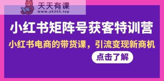 小红书的矩阵账号拓客夏令营-第10期，小红书电商的卖货课，引流变现商机-天天有课网