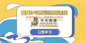 百万IP实战训练营课程，完整的IP孵化方法-天天有课网