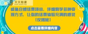 咸鱼白嫖话费项目，详细教学多种变现方式，让你的话费体验充满的感觉【仅揭秘】-天天有课网