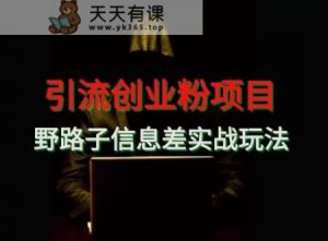 【引流创业粉】野路子信息差玩法实战教学-天天有课网