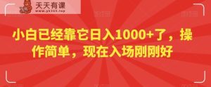 小白已经靠它日入1000+了,操作简单,现在入场刚刚好【揭秘】-天天有课网