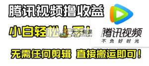 腾讯视频分成计划，每天无脑搬运，无需任何剪辑！-暖阳网-优质付费教程和创业项目大全-天天有课网