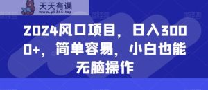2024风口项目,日入3000+,简单容易,小白也能无脑操作-天天有课网