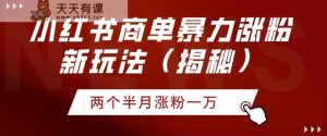小红书商单暴力涨粉新玩法两个半月涨粉一万-天天有课网