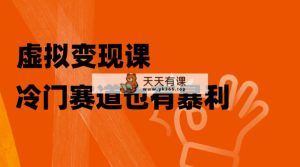 虚拟变现课，冷门赛道也有暴利，手把手教你玩转冷门私域-暖阳网-优质付费教程和创业项目大全-天天有课网