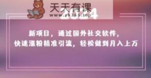 2024新项目,通过国外社交软件,快速涨粉精准引流,轻松做到月入上万【揭秘】-天天有课网