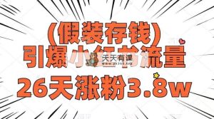 假装存钱，引爆小红书流量， 26天涨粉3.8w，作品制作简单，多种变现方式-暖阳网-优质付费教程和创业项目大全-天天有课网