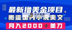 最新撸美金项目：搬运国内小说爽文，只需复制粘贴，月入2000＋美金-暖阳网-优质付费教程和创业项目大全-天天有课网