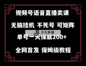 视频号纯无人挂机直播 手机就能做，轻松一天200+-暖阳网-优质付费教程和创业项目大全-天天有课网