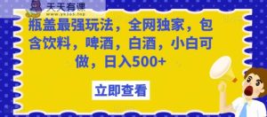 瓶盖最强玩法，全网独家，包含饮料，啤酒，白酒，小白可做，日入500+【揭秘】-天天有课网