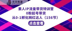 繁星·计划素人IP流量带货特训营:0粉起号带货 从0-1孵化网红达人-天天有课网