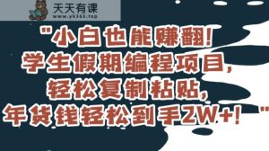 小白也能赚翻！学生假期编程项目，轻松复制粘贴，年货钱轻松到手2W+【揭秘】-天天有课网