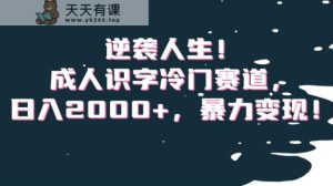 逆袭人生！成人识字冷门赛道，日入2000+，暴力变现！【揭秘】-天天有课网