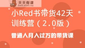 小Red书卖货42天夏令营平常人月入上万的卖货课-天天有课网