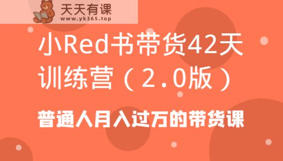 小Red书卖货42天夏令营平常人月入上万的卖货课-天天有课网