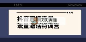 抖音直播带货-流量激活特训营，入行新手小白主播必学-暖阳网-优质付费教程和创业项目大全-天天有课网