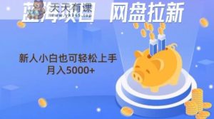 蓝海项目网盘拉新，新人小白也可操作，每月收入5000+-天天有课网