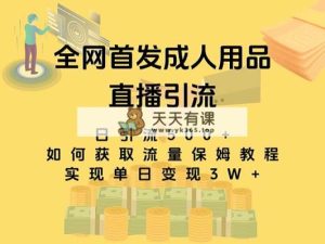 最新全网独创首发，成人用品直播引流获客暴力玩法，单日变现3w保姆级教程-暖阳网-优质付费教程和创业项目大全-天天有课网