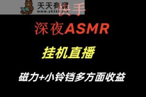 快手视频深更半夜ASMR放置挂机直播间磁性 小玲铛各个方面盈利-天天有课网