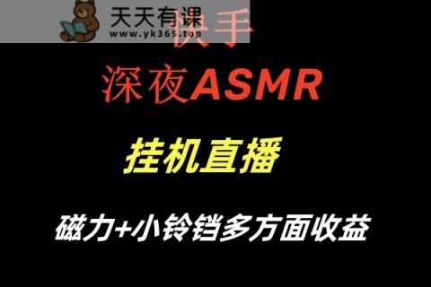 快手视频深更半夜ASMR放置挂机直播间磁性 小玲铛各个方面盈利-天天有课网