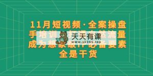 11月短视频·全案操盘手培训：打通自然流量 成为想象级IP必备要素 全是干货-暖阳网-优质付费教程和创业项目大全-天天有课网