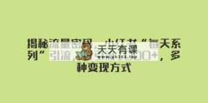 揭秘流量密码，小红书“每天系列”引流，日引流1000+，多种变现方式-暖阳网-优质付费教程和创业项目大全-天天有课网