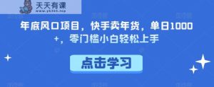 年底风口项目,快手卖年货,单日1000+,零门槛小白轻松上手-天天有课网