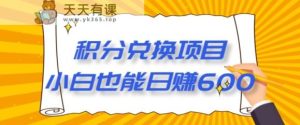 【12月】最新积分兑换项目，小白也能日赚600+-天天有课网