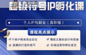 品牌符号IP卵化高级课,创建流量思维底层思维,打造属于自身IP-天天有课网