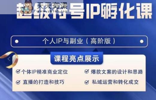 品牌符号IP卵化高级课，创建流量思维底层思维，打造属于自身IP-天天有课网