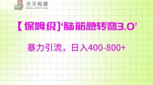 【家庭保姆级】‘脑筋急转去3.0’暴力行为引流方法、日入400-800-天天有课网