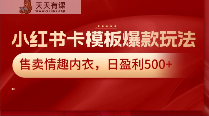 小红书的卡模版爆品游戏玩法，出售情趣睡衣，日赢利500-天天有课网