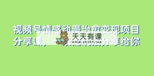 视频号情感动漫治愈变现项目分享课，一条龙玩法分享给你-暖阳网-优质付费教程和创业项目大全-天天有课网