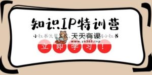 知识IP特训营 ：小红书-流量变现，带你轻松玩转小红书-暖阳网-优质付费教程和创业项目大全-天天有课网