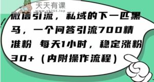 怎么搞精准创业粉？微信新赛道，每天一小时，利用Ai一个问答日引100精准粉-天天有课网