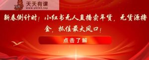 新春倒计时！小红书无人直播卖年货，无货源撸金，抓住最大风口【揭秘】-天天有课网