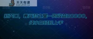 新风口，靠元梦之星一周收益20000，纯小白轻松上手-天天有课网