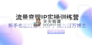 流量变现-IP实操训练营：新手也能打造个人IP，成为百万 博主-暖阳网-优质付费教程和创业项目大全-天天有课网